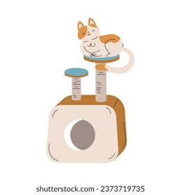 Funny Cat Domestic Pet with Pretty Snout Sit on Top of Scratching Pole Vector Illustration