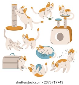 Funny Cat Domestic Pet with Pretty Snout Engaged in Different Activity Vector Set