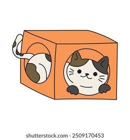 Funny Cat Doodle - Playing in a Play Box