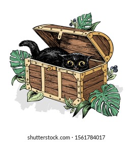 Funny cat in the dower chest, surrounded by plants, leaves of monstera. Vector hand drawn color illustration. Tattoo art, t-shirt design and prints