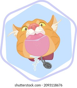 Funny cat face. The ginger cat licks the glass. There are traces of tongue on the glass.