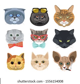 Funny cat faces or heads wearing glasses and bows or smoking cigarette isolated icons vector. Cartoon animal muzzles emoji or stickers, kitten breeds. Feline pets with emotions, happy or angry