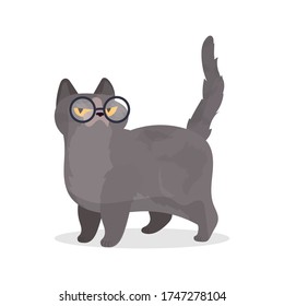 Funny cat with glasses. Cat sticker with a serious look. Good for stickers, t-shirts and postcards. Isolated. Vector.