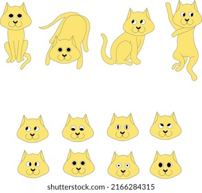 funny cat and Cat head and emotional cat