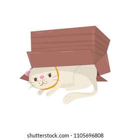 Funny cat hiding under cardboard box. Kitten with cunning muzzle expression. Domestic animal. Flat vector element for poster or sticker