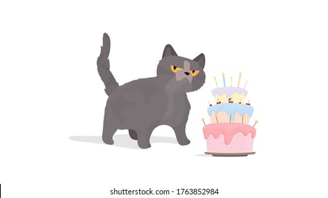 Funny cat holds a birthday cake. Sweets with cream, muffin, festive dessert, confectionery. Good for cards, t-shirts and stickers. Vector flat style.