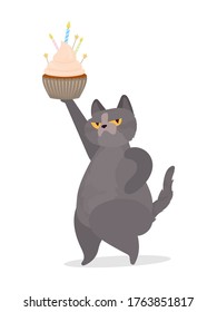 Funny cat holds a festive cupcake. Sweets with cream, muffin, festive dessert, confectionery. Good for cards, t-shirts and stickers. Flat style. Vector.