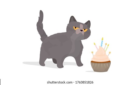 Funny cat holds a festive cupcake. Sweets with cream, muffin, festive dessert, confectionery. Good for cards, t-shirts and stickers. Flat style. Vector.