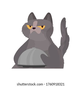 Funny cat holds a metal dish with a lid. A cat with a funny look. Good for stickers, cards and t-shirts. Isolated. Vector.