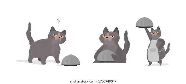 Funny cat holds a metal dish with a lid. A cat with a funny look. Good for stickers, cards and t-shirts. Isolated. Vector.