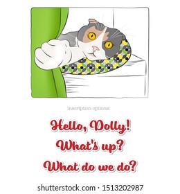 Funny cat in the interior and a set of lettering inscriptions / banners to the picture. Vector.