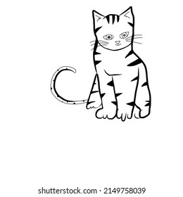 A funny cat just doing nothing