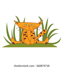Funny cat - Leopard sitting in a clearing in the bush