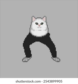 Funny cat with long legs, pixel art meme