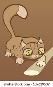 Funny cat looking at sunbeam.