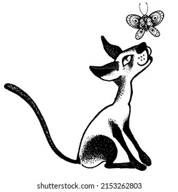 funny cat looks at a butterfly, character, graphic sketch