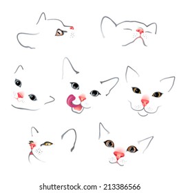 funny cat muzzle on white background 