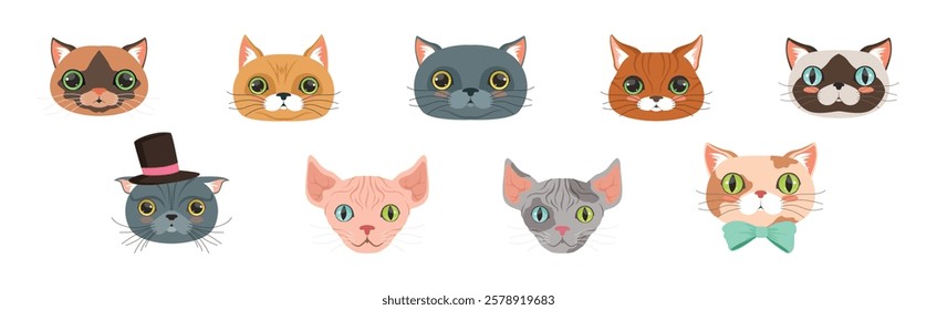 Funny Cat Muzzle and Snout with Whiskers Vector Set