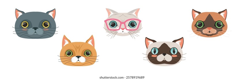 Funny Cat Muzzle and Snout with Whiskers Vector Set