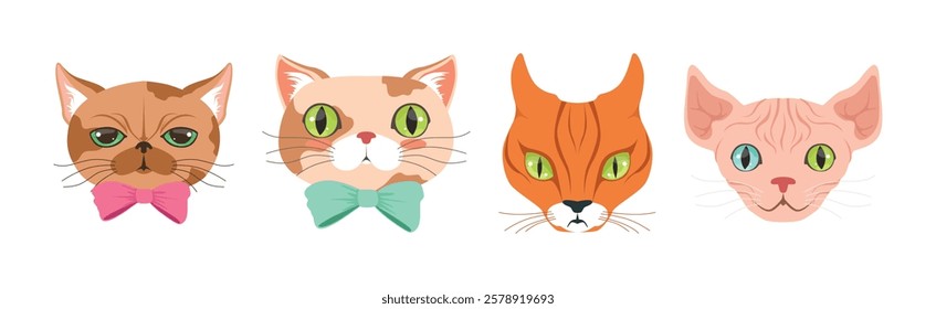 Funny Cat Muzzle and Snout with Whiskers Vector Set