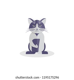 Funny cat, ok pose.