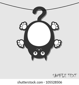 funny cat on cord