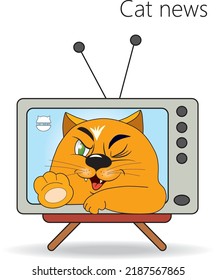Funny cat on the TV screen