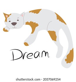 Funny cat. With orange spots. Stretched over the word 