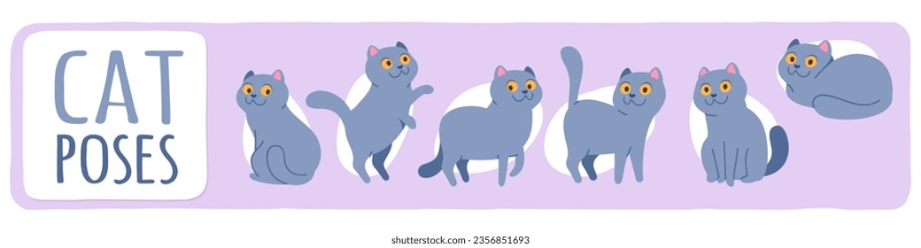 Funny cat pet poses set. Cute kitten animal smiling, sitting, standing, playing, lying in different positions collection. Adorable purebred domestic animal characters flat vector illustration