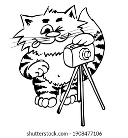 Funny cat photographer. Doodle animal with foto technics. Professional photo. Photoset with kitty. Cute comic cartoon tomcat character.