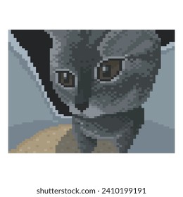 Funny cat, pixel art meme