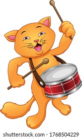 Funny cat playing snare drum