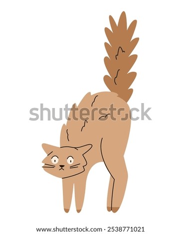 Funny cat in shock with an arched back and fluffed tail flat vector illustration isolated on white.