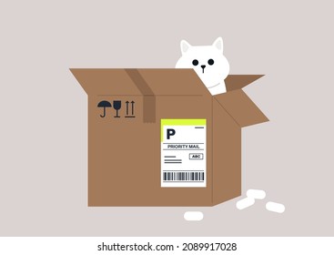 A funny cat sitting in a parcel cardboard box, delivery service