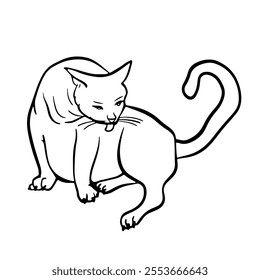 funny cat is sitting and washing her face. Free hand Fat cute domestic pet illustration. Trendy doodle icon. Sketch style crooked vector.