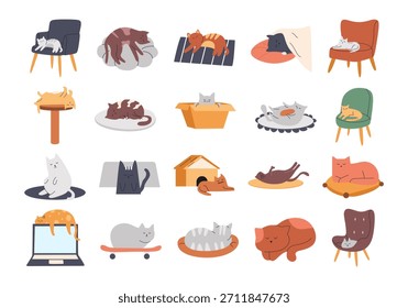 Funny Cat Sleeping Illustration Element