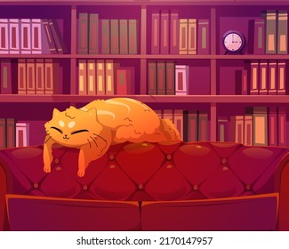 Funny cat sleeping on sofa in library interior. Cute lazy kitten sleep on leather couch on background with bookshelf with rows of book spines. Cartoon animal character at home, Vector illustration