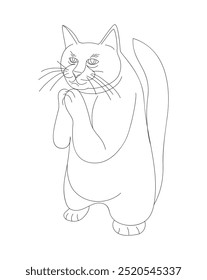 Gato engraçado fica de pé e segura patas implorando por algo. Ilustração vetorial em forma de uma única linha isolada sobre um fundo branco