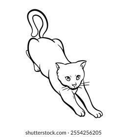 Funny cat is stretches his paws forward. Free hand Fat cute domestic pet illustration. Trendy doodle icon. Sketch style crooked vector.