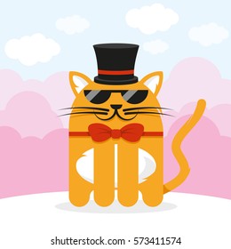 Funny cat in sunglasses