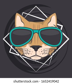 funny cat with sunglasses cool style vector illustration design