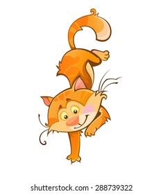 funny cat vector illustrations