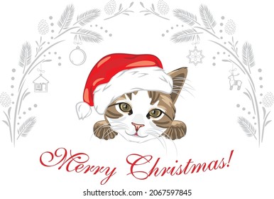 Funny cat wearing Santa hat. Christmas design for postcard. Vector