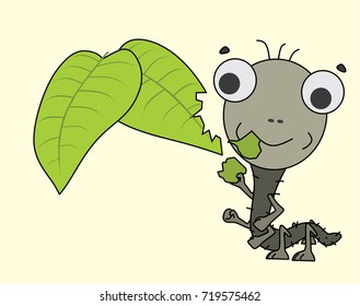 funny caterpillar
