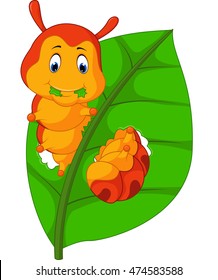 Funny Caterpillar Eating Leaf