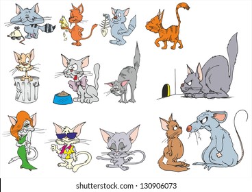 Funny Cats