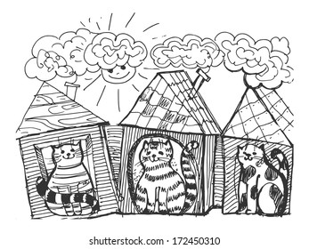 funny cats