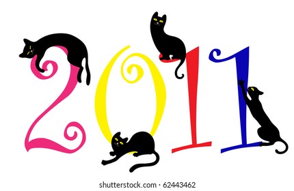 funny cats