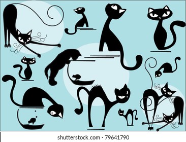 funny cats