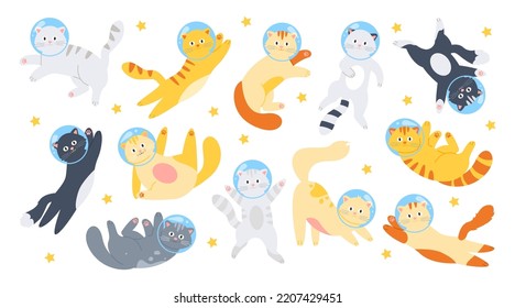 Astronautas de gatos divertidos en el cosmos. Gatitos mullidos en cascos de vidrio cosmonauta en un espacio abierto con estrellas de fondo blanco. Concepto de niño y espacio. Dibujo vectorial plano de dibujos animados